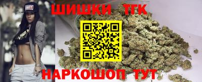 МДПВ Рыбинск