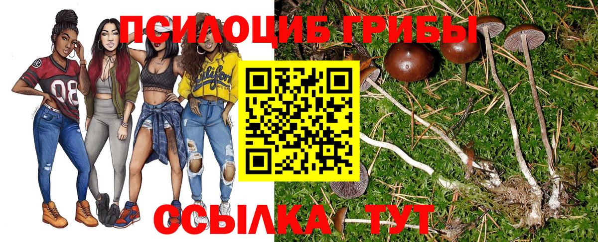 купить наркотик  Псилоцибиновые грибы мухоморы  Алексин  Вход с VPN  Галлюциногенные грибы GOLDEN TEACHER 