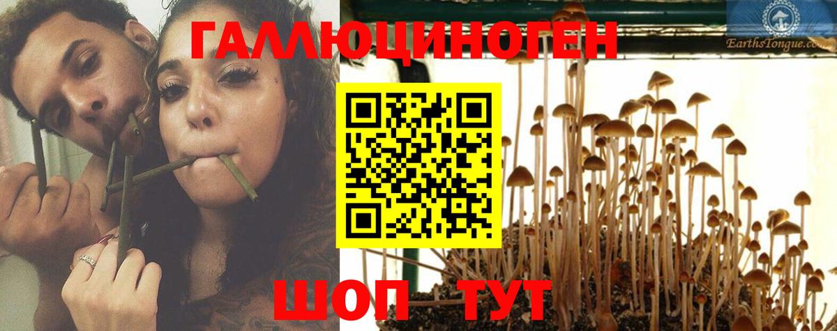 Галлюциногенные грибы GOLDEN TEACHER Алексин