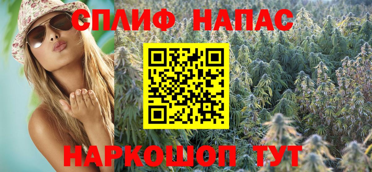 Канабис индика  Вход с VPN  Канабис Bruce Banner  Каннабис планчик  Конопля White Widow  Алексин 