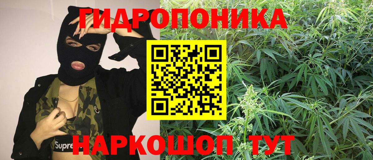 МАРИХУАНА сатива Алексин